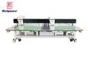 Double-Head Plate Mount Perforation Machine (4-size Fixed Head)
(Model: RPCE-L-P-2-900×600-B-P4-0-NA-1P220)